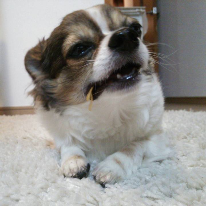 7219de20 07de 40c8 8d38 a5ff3637dc7a