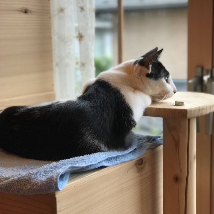 721a4008 4849 4590 8c6a 766893c2c019