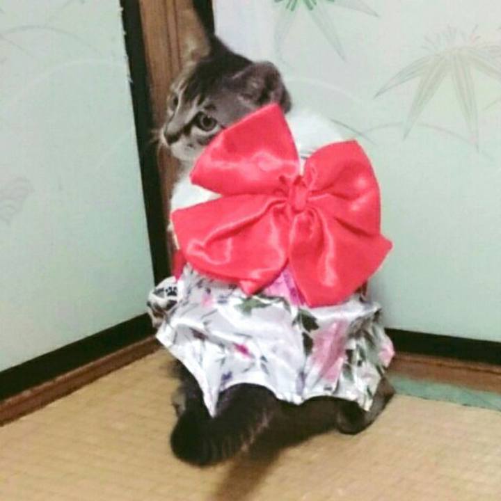 721a648c 630c 4a4e 92c4 10ac00dc2f1c