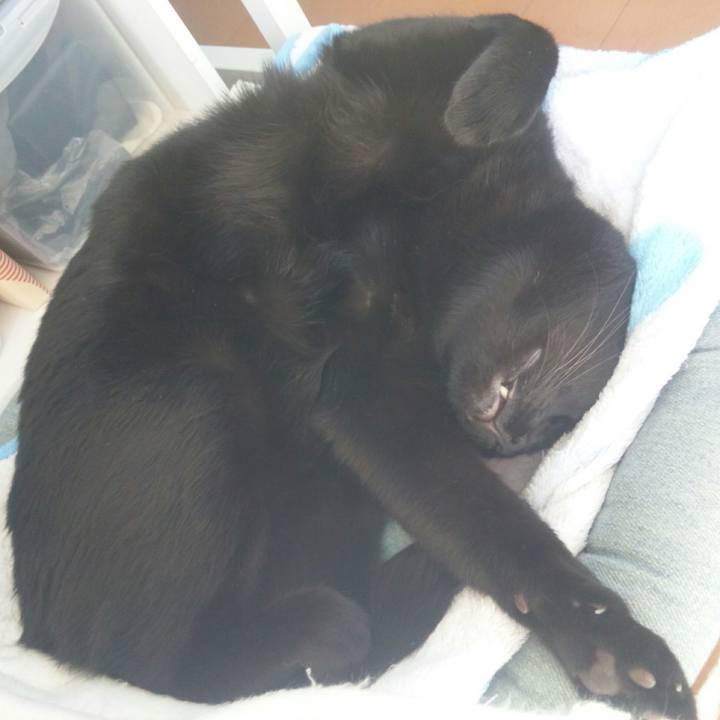 721aaf8e f07f 4fc6 abb2 9e453021f9f8