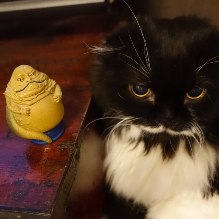 721b76e3 8858 4edd 8b96 bd22b83d70ed