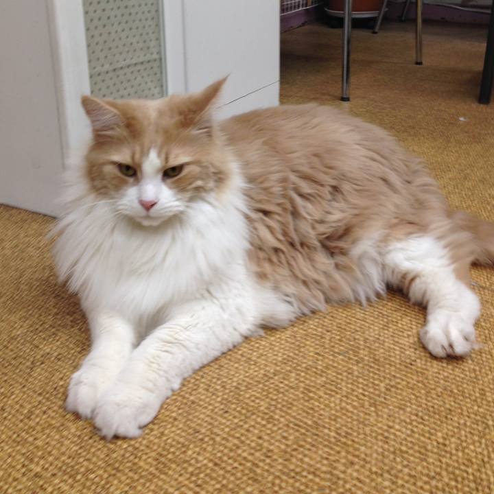 721cacc2 edc5 4e25 8d7e 9584e5358256