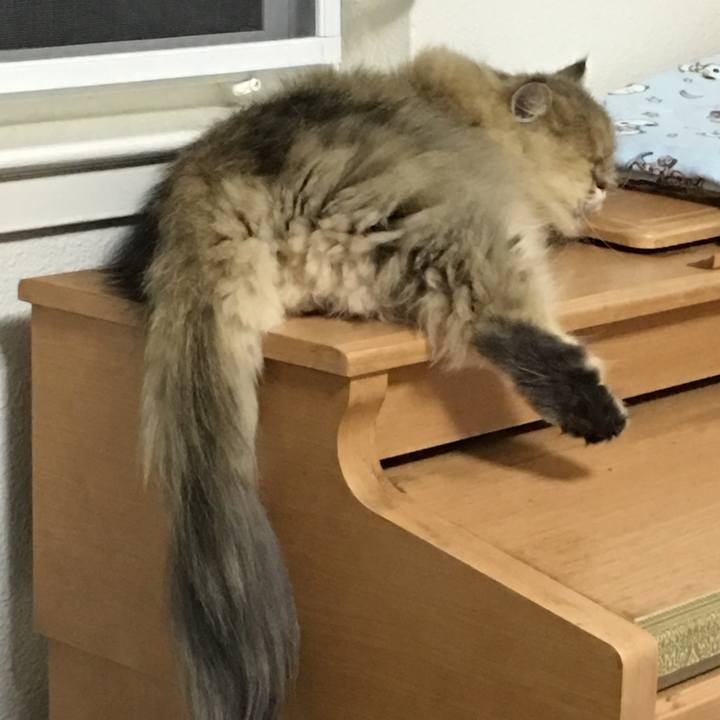 721caf41 cbcd 4d05 9de6 3afa87944407