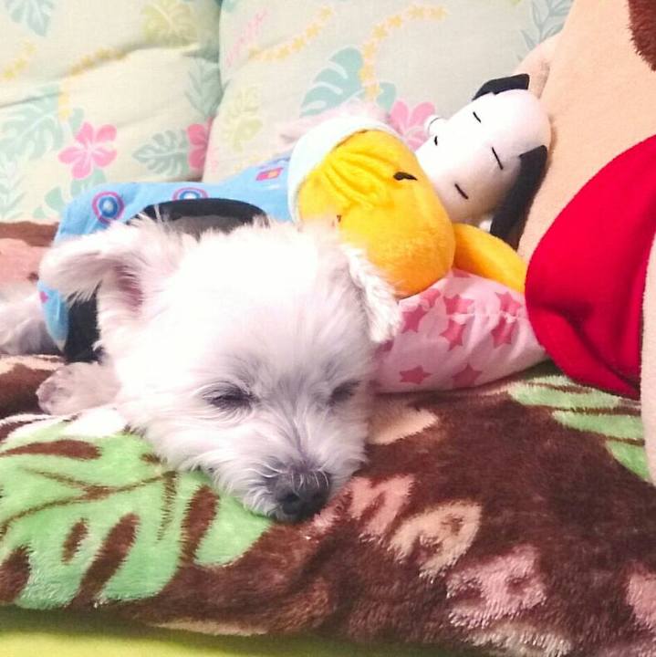 721cd10f a14e 47f5 aec3 d5cbfce0cd97