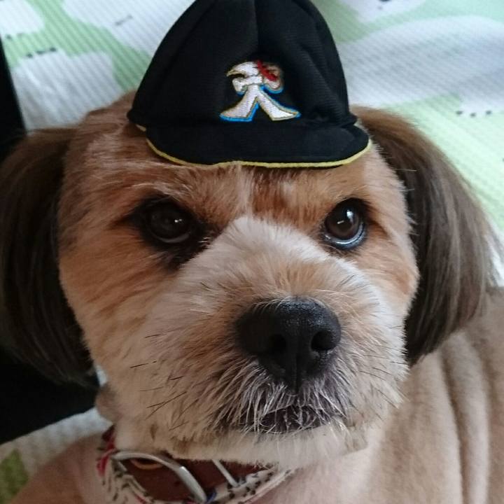 721ce39e 67d6 4f5c 9fd2 840071f04008