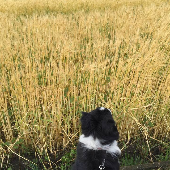 721cec8c 42cb 4013 9d4c 4a5e2aaf7bf5