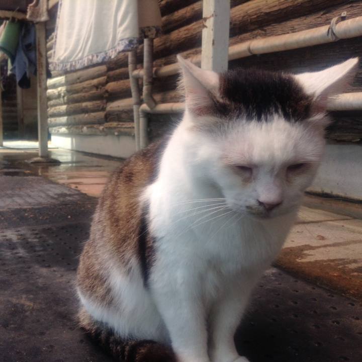 721d42e6 3000 4fec 9d32 cfef5617718b