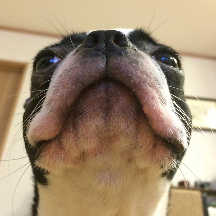 721d9b22 62fa 4dcd 9b0e c023ca43d19f