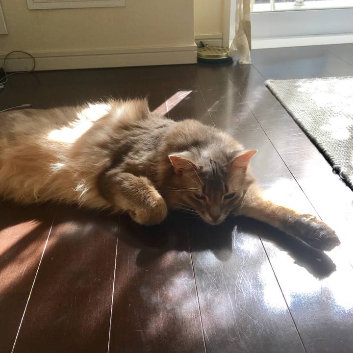 721db713 d63c 49ae 9309 977f965ffa9d