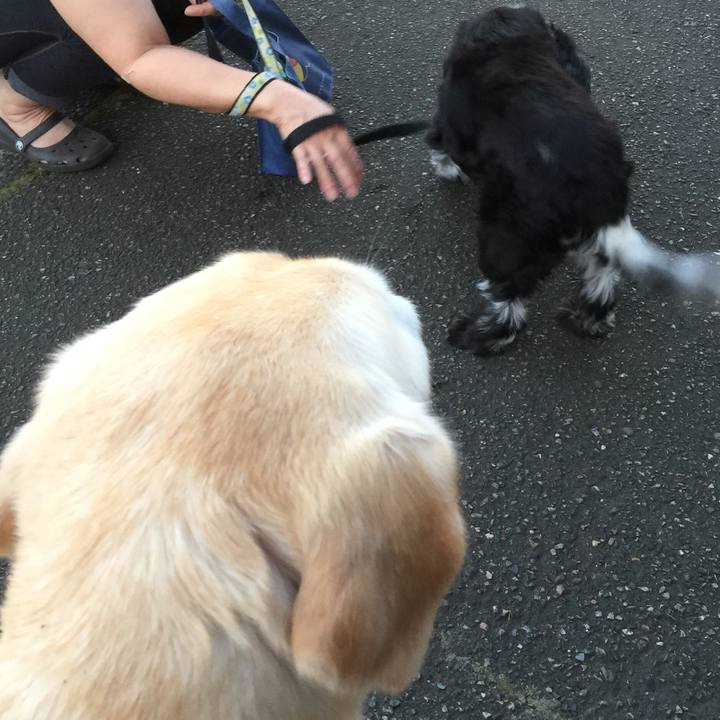 721df550 ded4 47d0 a16f 9c57c96b91c6