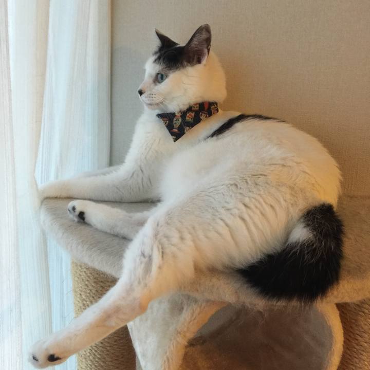 721e3935 7bc6 4ee8 a776 f8e6db6d7f37