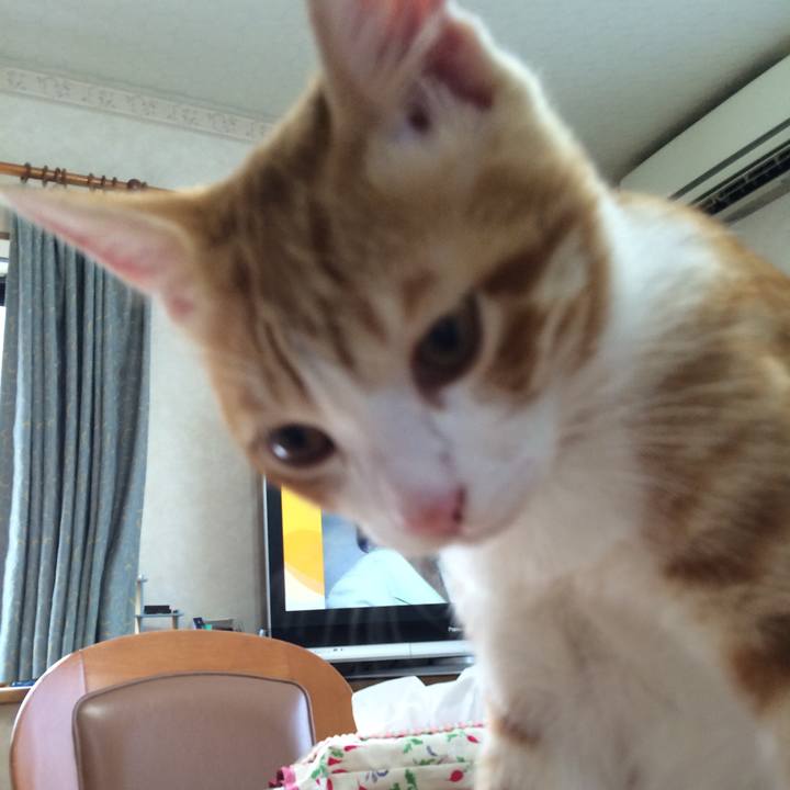 721e3d2c 55b3 4965 8b5d 9b0ac335870a