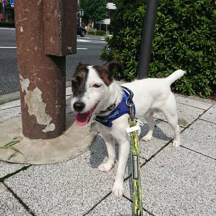 721ed6b5 5ac9 4109 a1c4 b8d1256cd58c