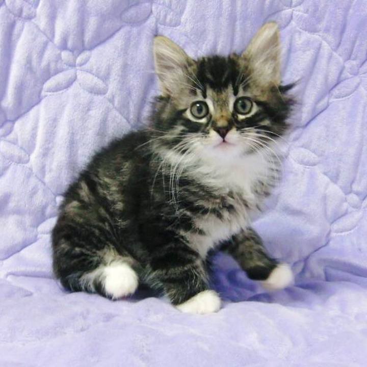 721ef4d3 0917 4130 b04d 18244c6cb005