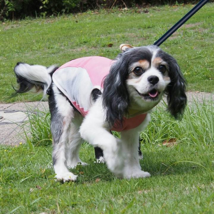 721efc0b 92ad 4a17 a06d 99630f3856e5