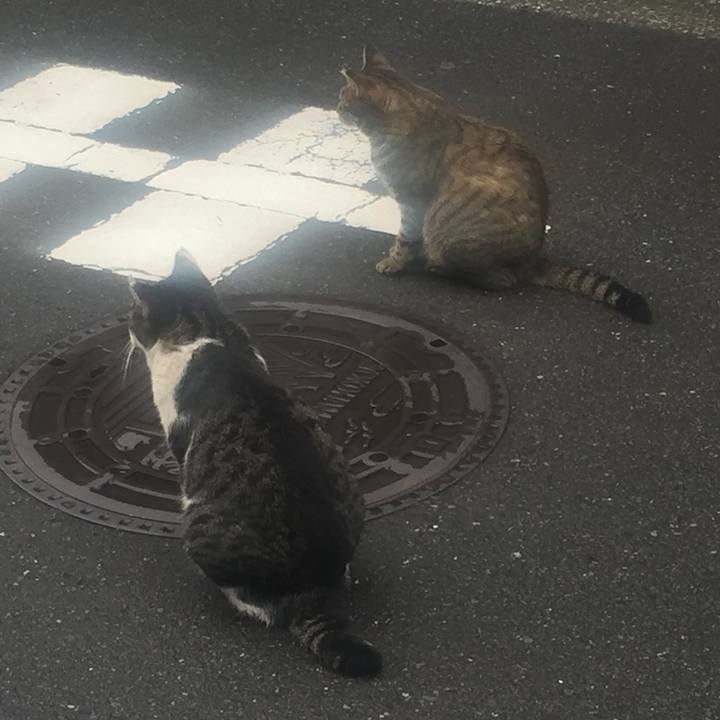 721fb07c b7e3 4750 bbcb c985c54ba9e6