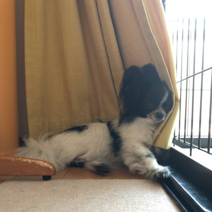 72203fce 1ebf 4fc4 bbaa 654025c0fd76