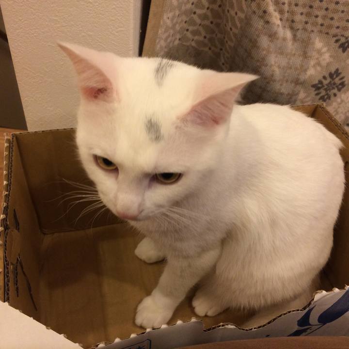 7220704a 5eb8 4e61 9d35 f3dba7c36254