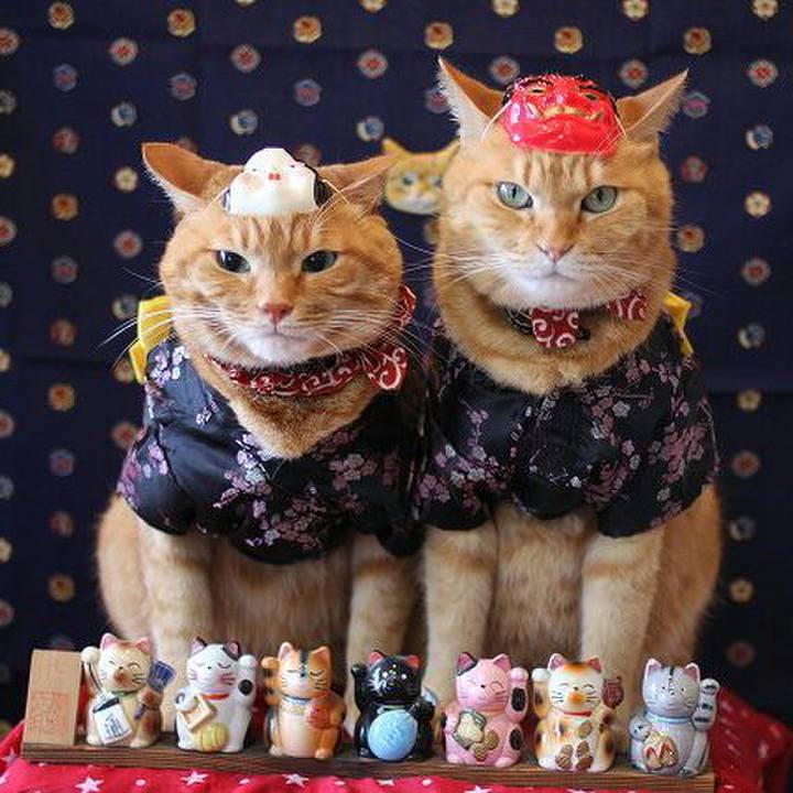 72208733 6339 45fd 809f b0d68b035fdd