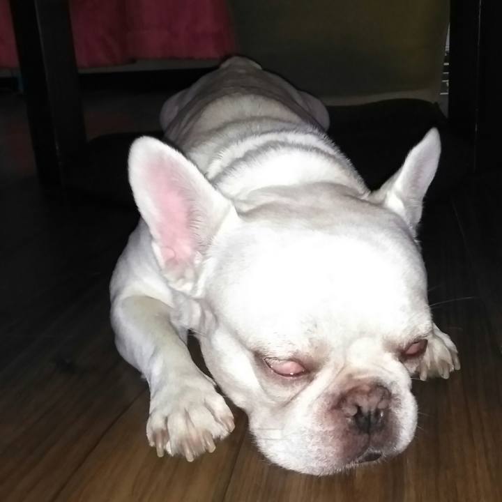 7220a035 4bdb 4391 af32 a0d24ae24ff2