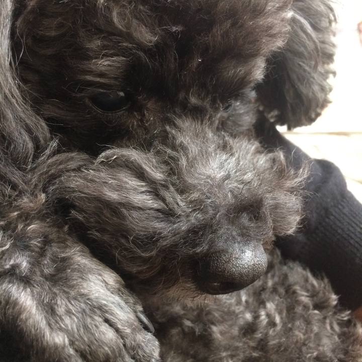 72210e7d 2f99 413f 88f5 d52c84119399