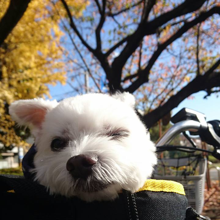 72223a7f f124 4507 987d 5f54353c5860