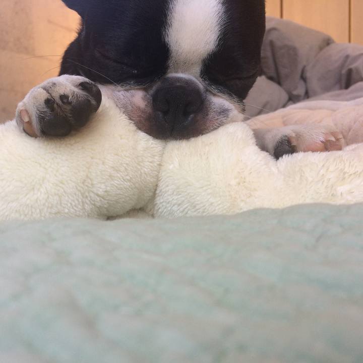 72226976 3472 4966 a1a7 2bda09e8d8af