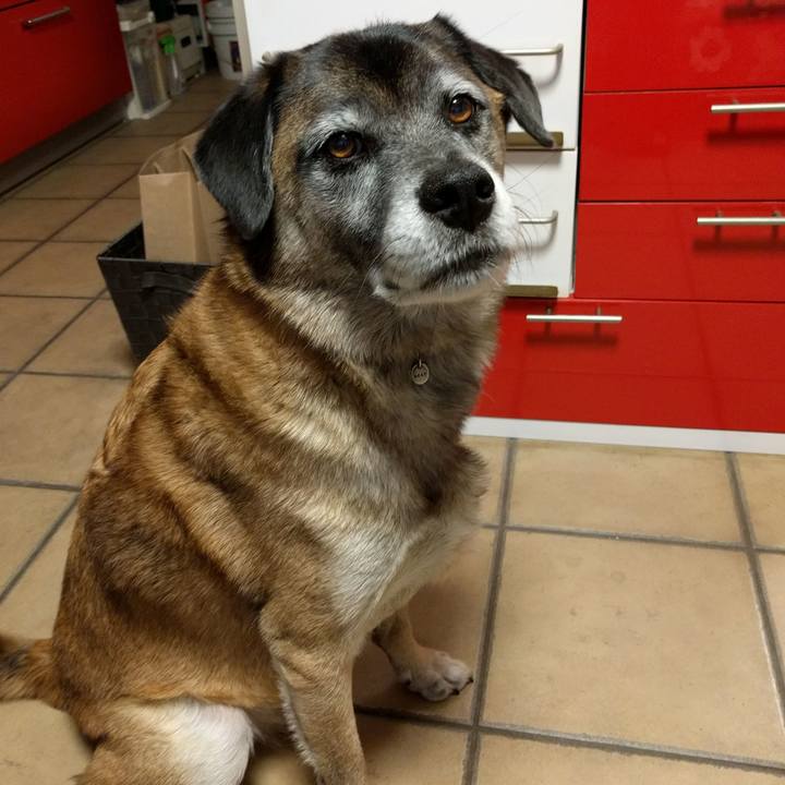 7222a44a e63d 4335 9fe9 5a9955aa9edb