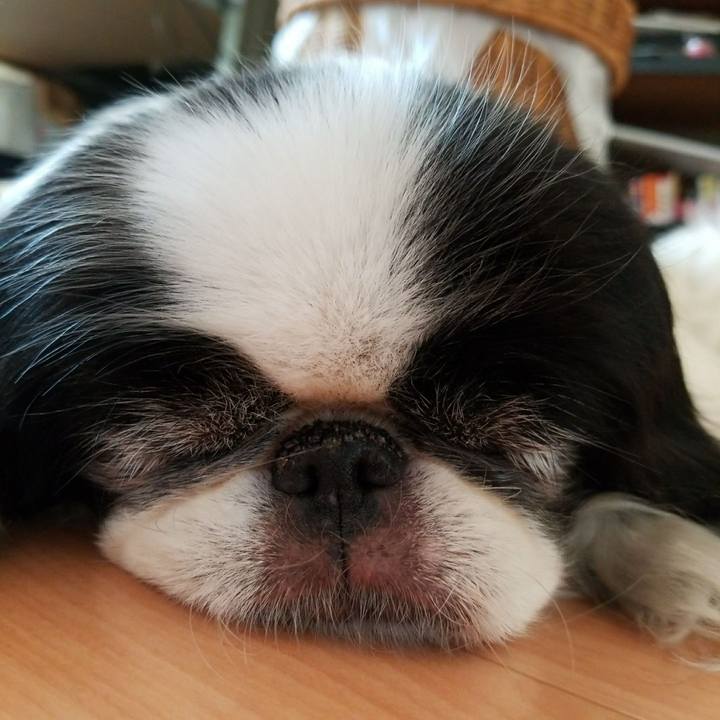 7222e0ad 9b00 4ebf 968a c40629a33123