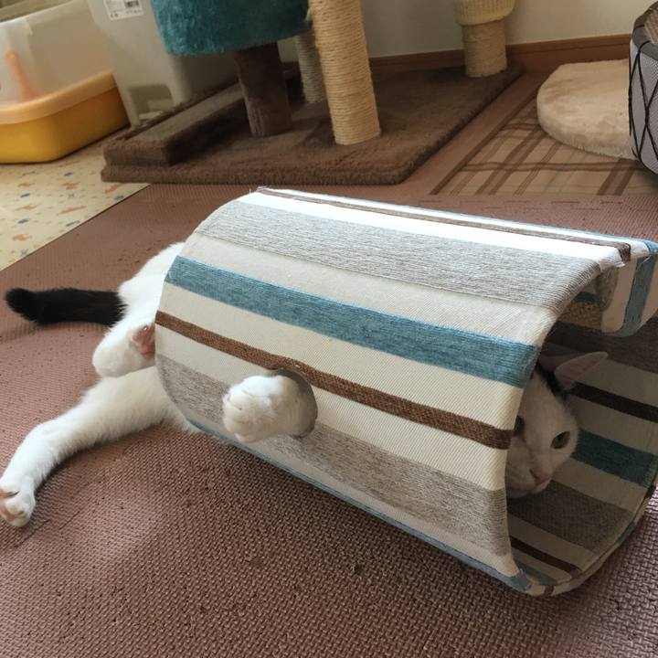 72230af0 08b6 4256 8161 c44600d24f84