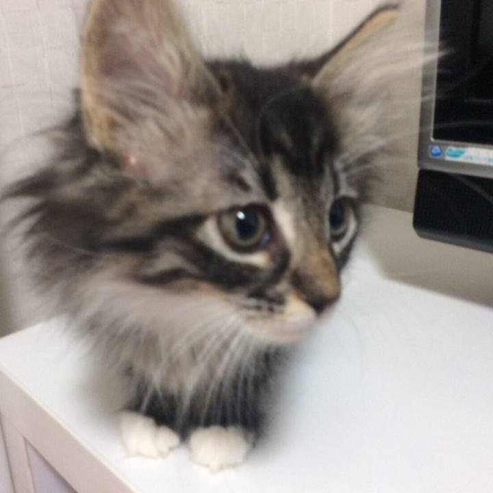 7223136a 77c2 4145 a740 c31baf51b86c