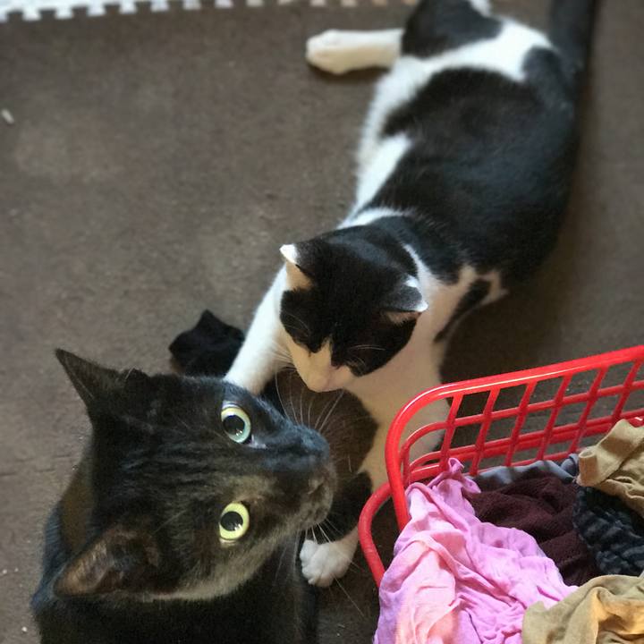 7223f518 2b47 48d4 8b60 dc284712f43e