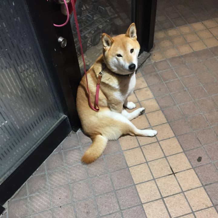 72240723 7a57 44d8 8402 5511a5bdc087