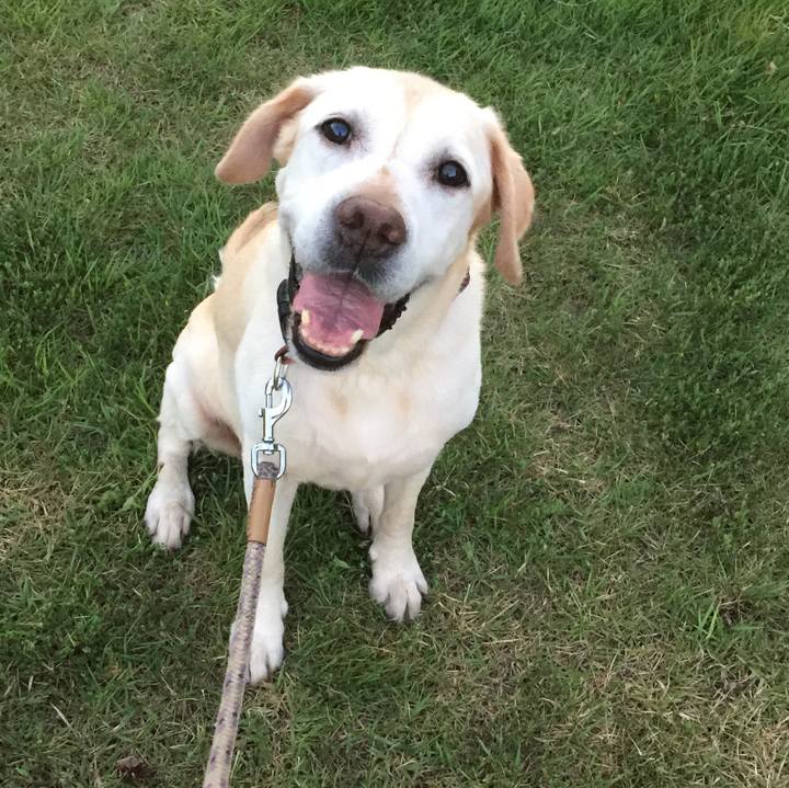 72242fcc ee69 430f 98c2 e5aa75164caa