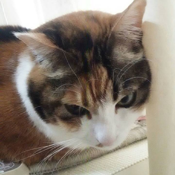 722439a9 b373 4562 9eca 63bc6e7ff9ac