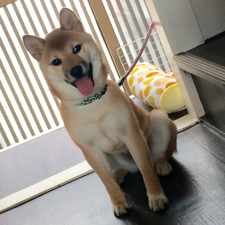 722453cf 1564 4792 9803 ba24f6072a4d