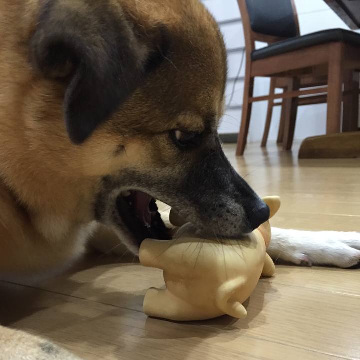 7224793d 715a 4b10 9be7 140100a3ff99