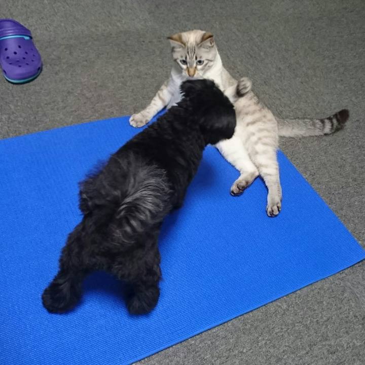 7224b149 9d20 4d3a 869d c40706058467