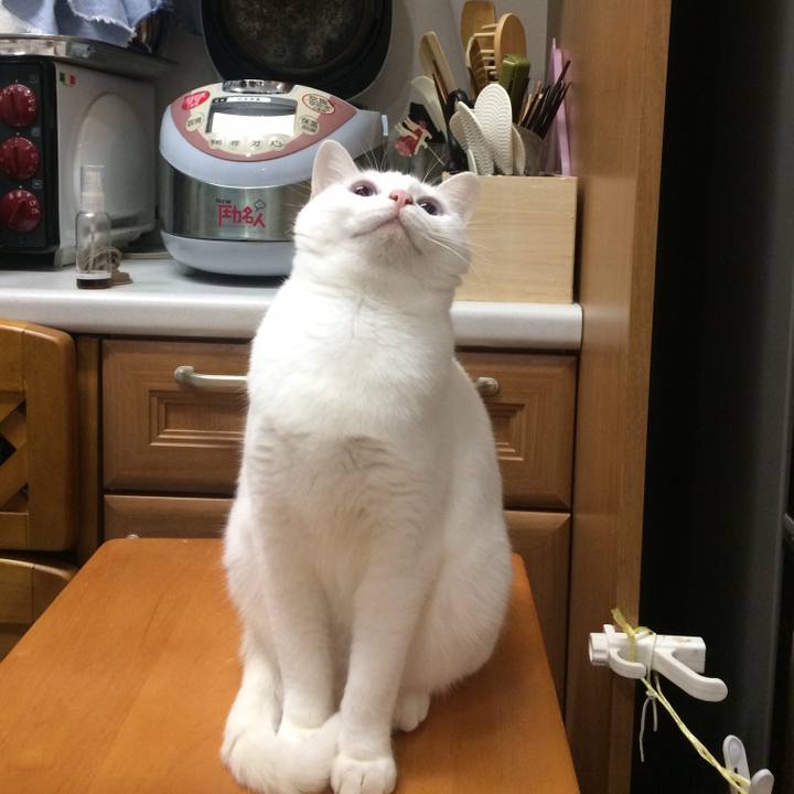 722506a9 a9e9 4019 b987 bae2b9bbe954