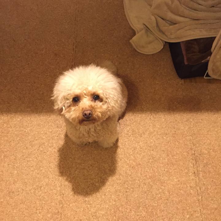 72270b5b 1625 488c 9cc0 01858d5b8ca3