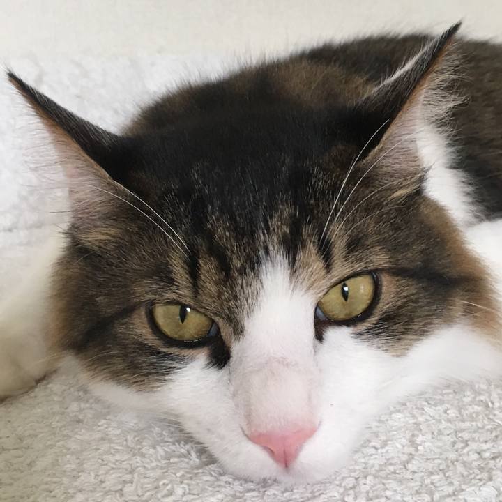 7227a680 5d9b 4c01 a55d fab29beaf5fb