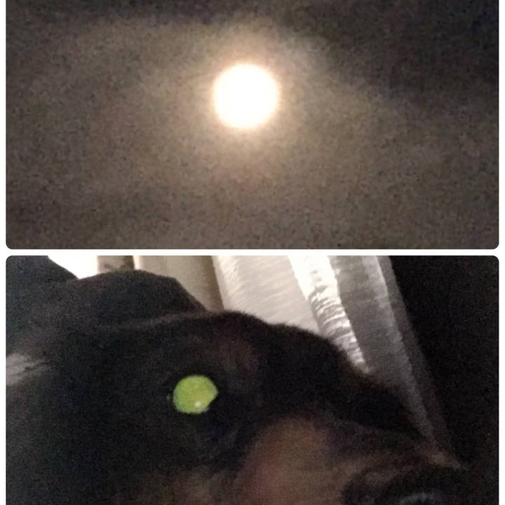 7227eeb7 135d 41fd 9a37 ee02902f0a2c