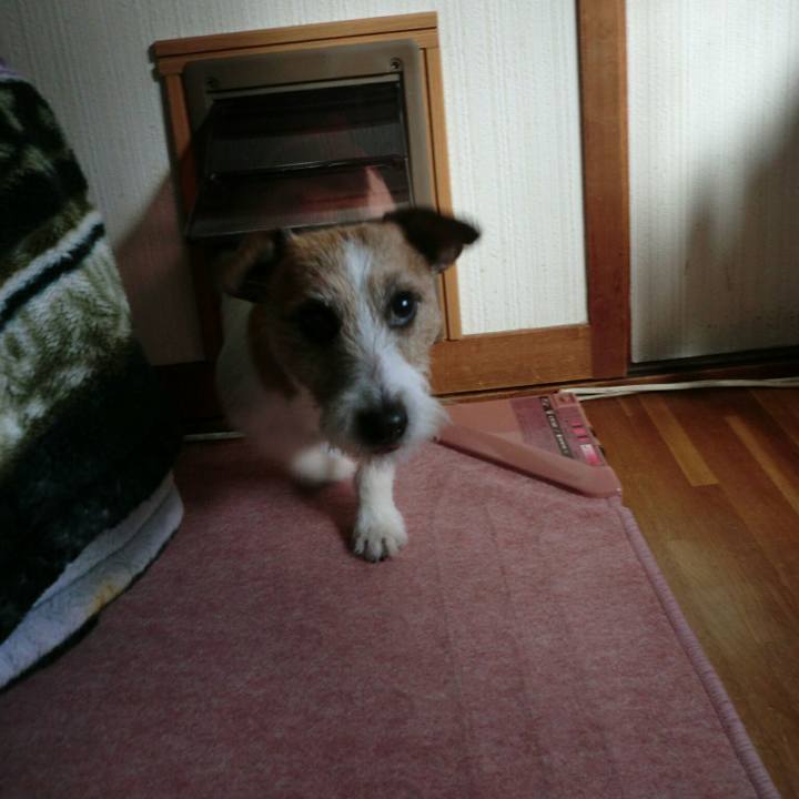 72292062 40fc 4ebc b2a3 ea6c82afb612