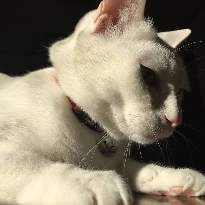 72292284 acbf 4a36 831c 16b5c53510a8