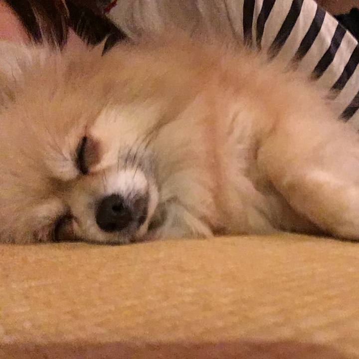 72294094 aa6d 434a 874f ff860f59aedd