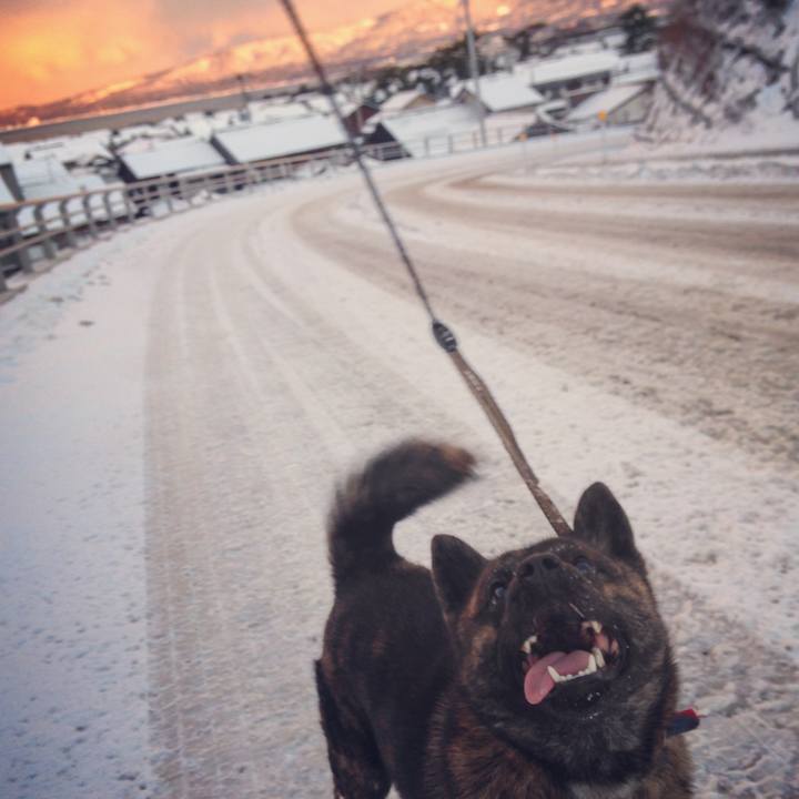 722a2c2b 514e 439b 931e c3718e05c53e