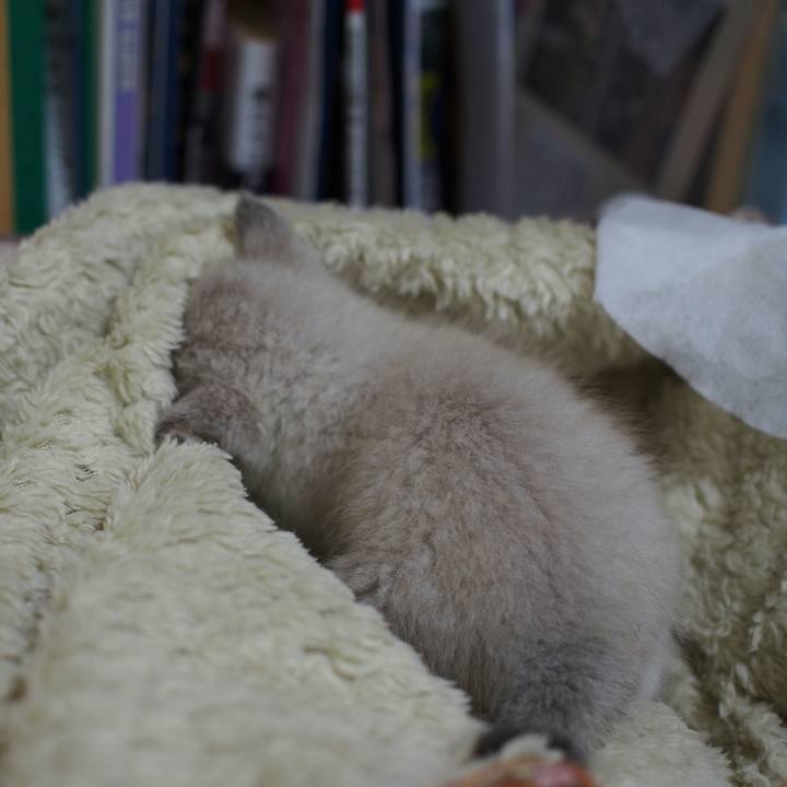 722ae6bc 58c0 410b 9f83 0d913bf4c9b8