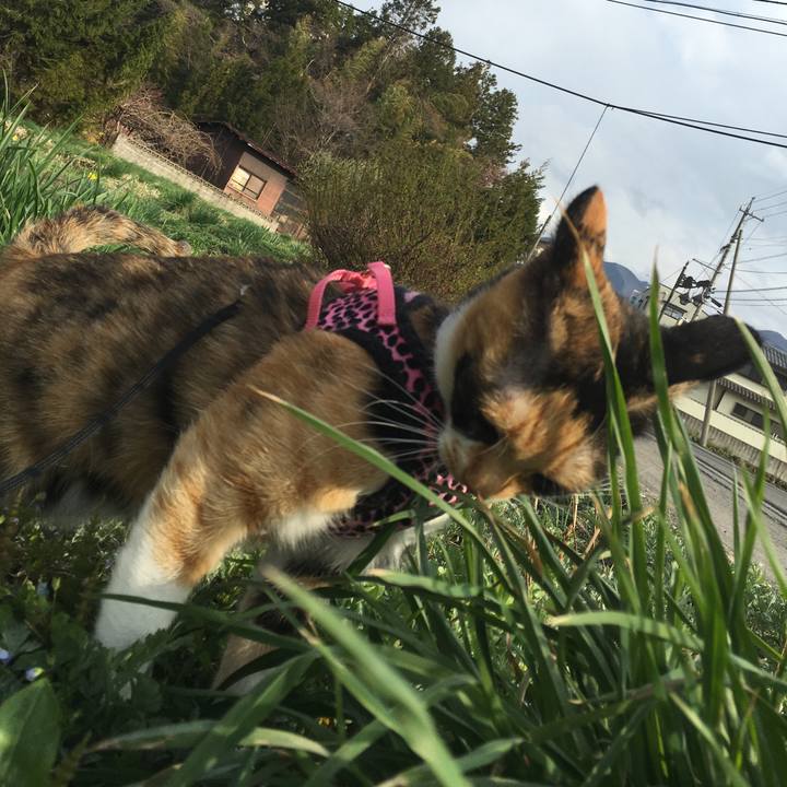 722b33c5 4080 4157 950c b4439a101cb4