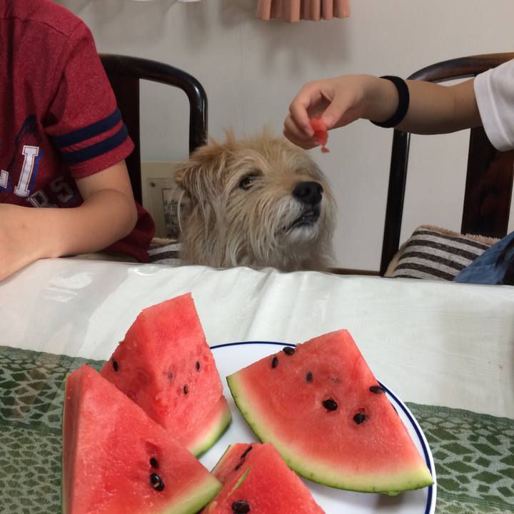 722b55ff a3bd 492d abdd 0719cba4623c