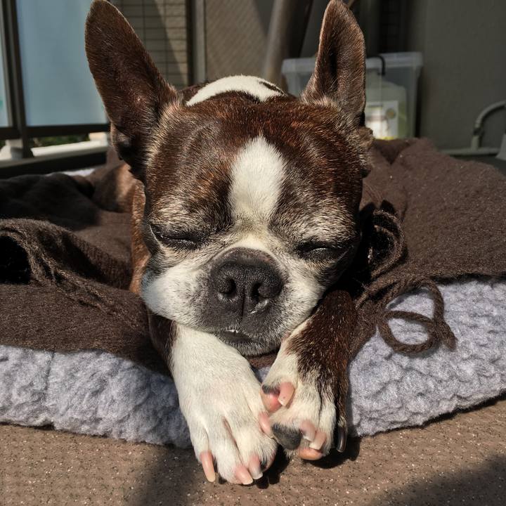 722bd7f4 4059 43ab 9d94 c5362c482597